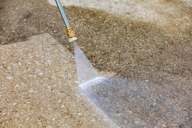 Best Driveway Pressure Washing  in Lattingtown, NY